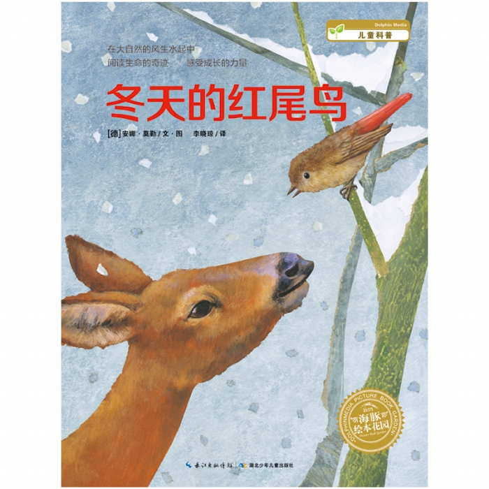 冬天的红尾鸟--海豚绘本花园 - 封面