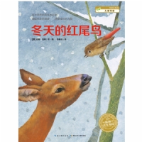 冬天的红尾鸟--海豚绘本花园
