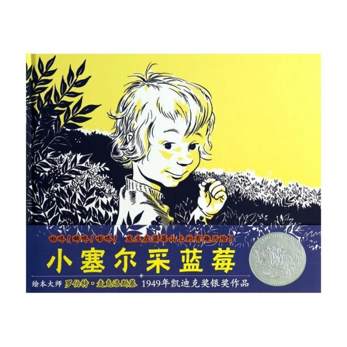 小塞尔采蓝莓 - 封面
