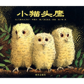 小猫头鹰 - 封面