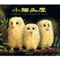 小猫头鹰