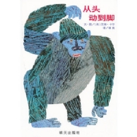 从头动到脚