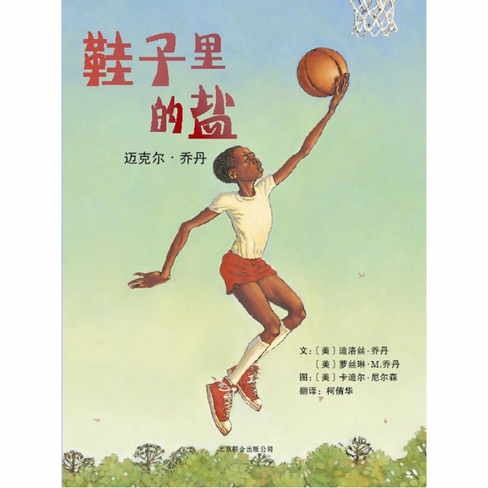 鞋子里的盐 - 封面