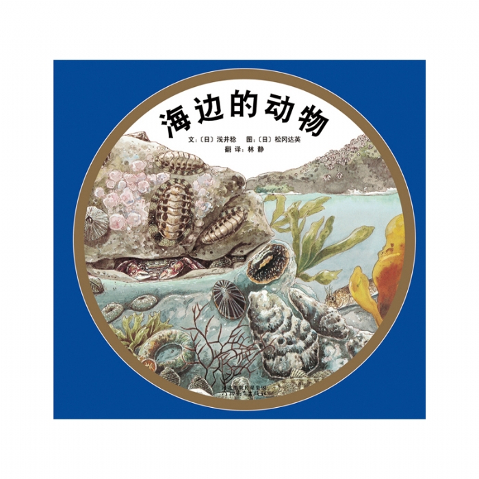 海边的动物 - 封面