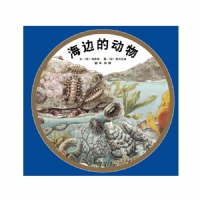 海边的动物