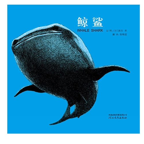 鲸鲨 - 封面