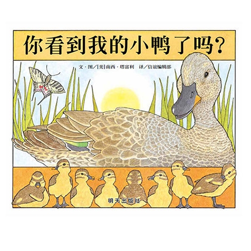 你看到我的小鸭了吗 - 封面