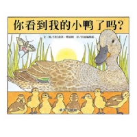 你看到我的小鸭了吗
