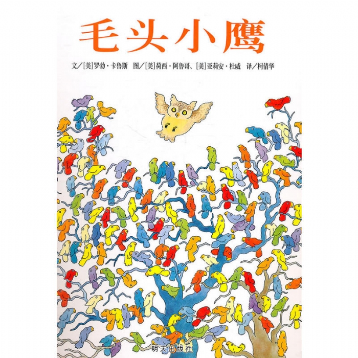 毛头小鹰 - 封面