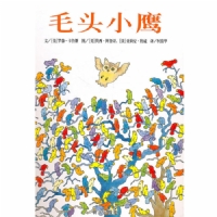 毛头小鹰