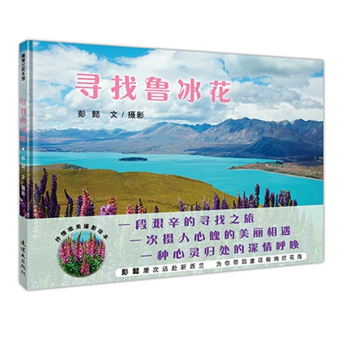 寻找鲁冰花 - 封面