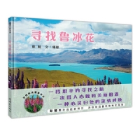 寻找鲁冰花