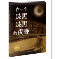 在一个漆黑漆黑的夜晚