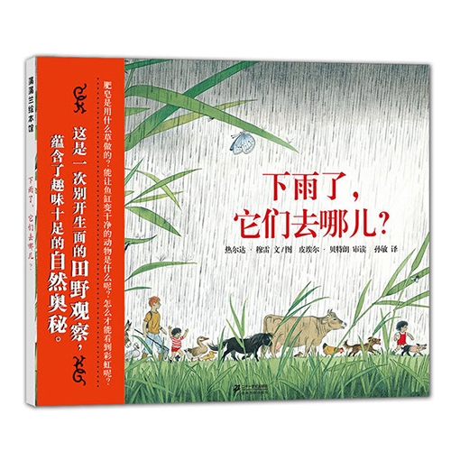 下雨了，它们去哪儿 - 封面