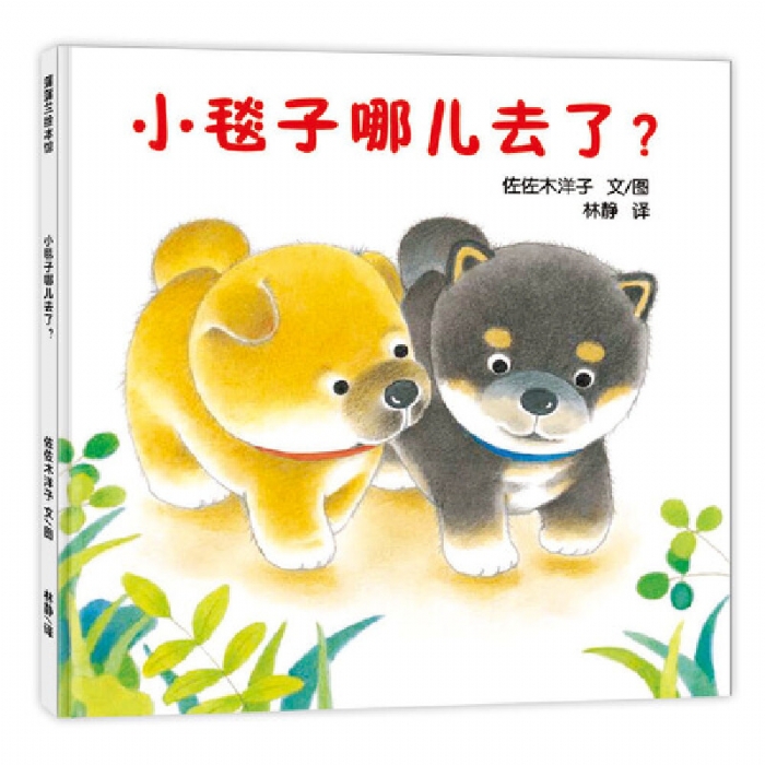 小毯子哪儿去了 - 封面