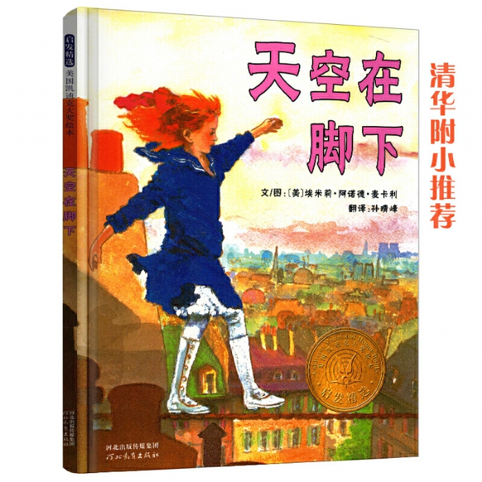 天空在脚下 - 封面