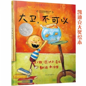 大卫不可以