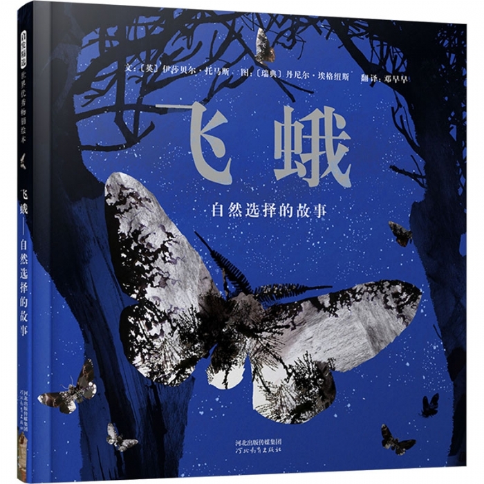 飞蛾:自然选择的故事 - 封面