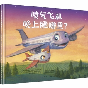 挖掘机晚上睡哪里系列：喷气飞机晚上睡哪里？