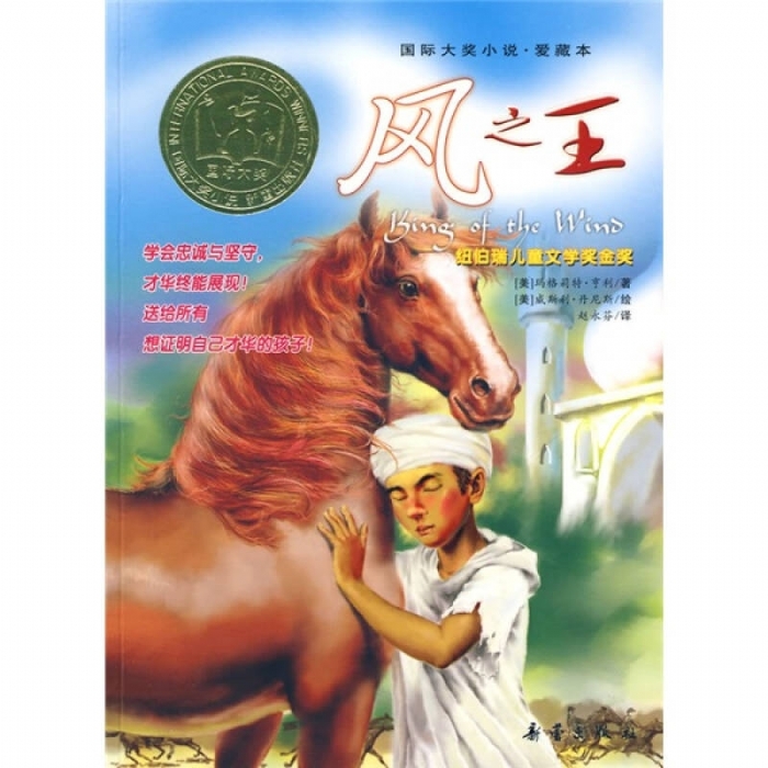 风之王 - 封面