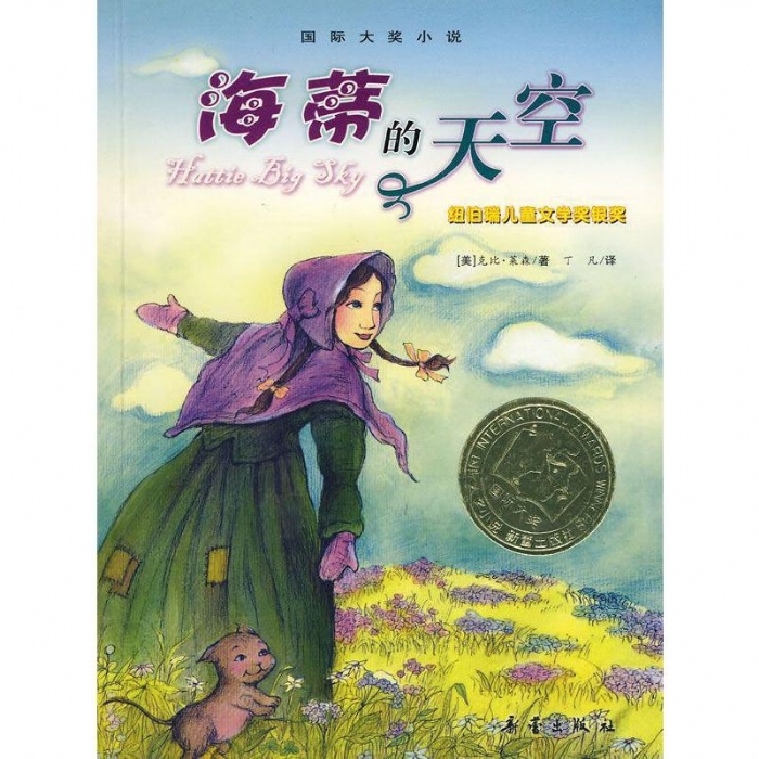 海蒂的天空 - 封面
