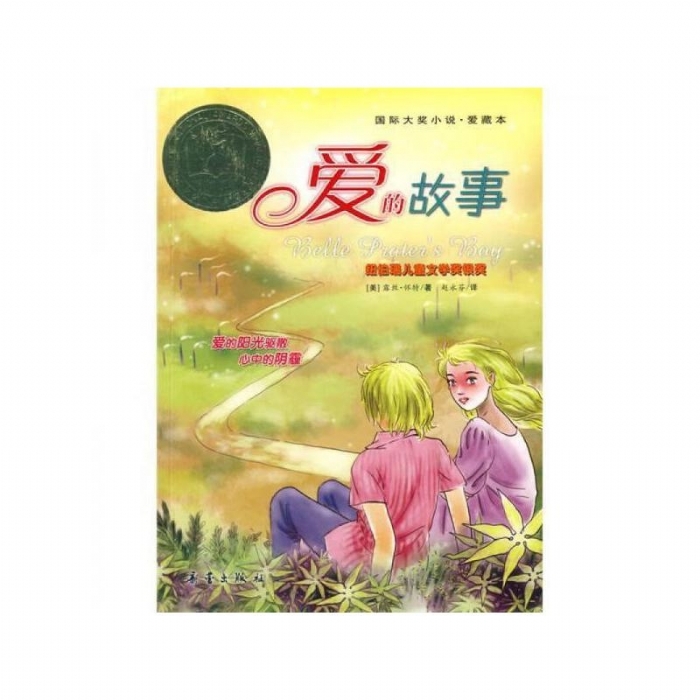 爱的故事 - 封面