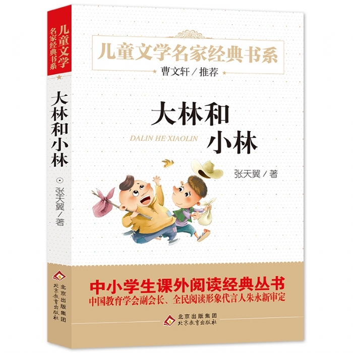 大林和小林 - 封面