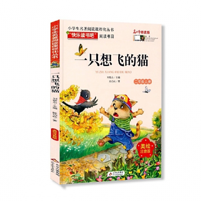 一只想飞的猫 - 封面