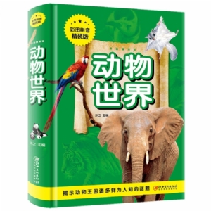 动物世界