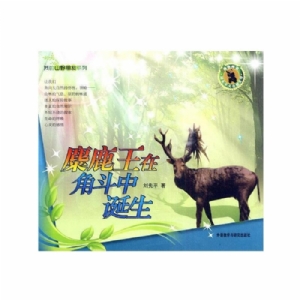我的山野朋友-麋鹿王在角斗中诞生