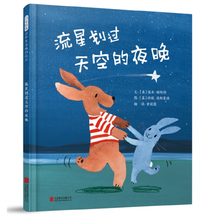 流星划过天空的夜晚 - 封面