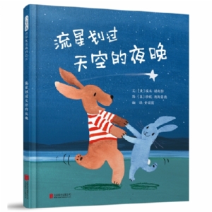 流星划过天空的夜晚